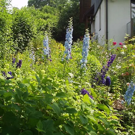 Ferienwohnung Mit Seeblick * Herrsching am Ammersee